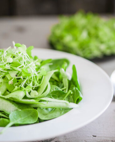 Salad with spinach,cucumber and microgreens on wooden background